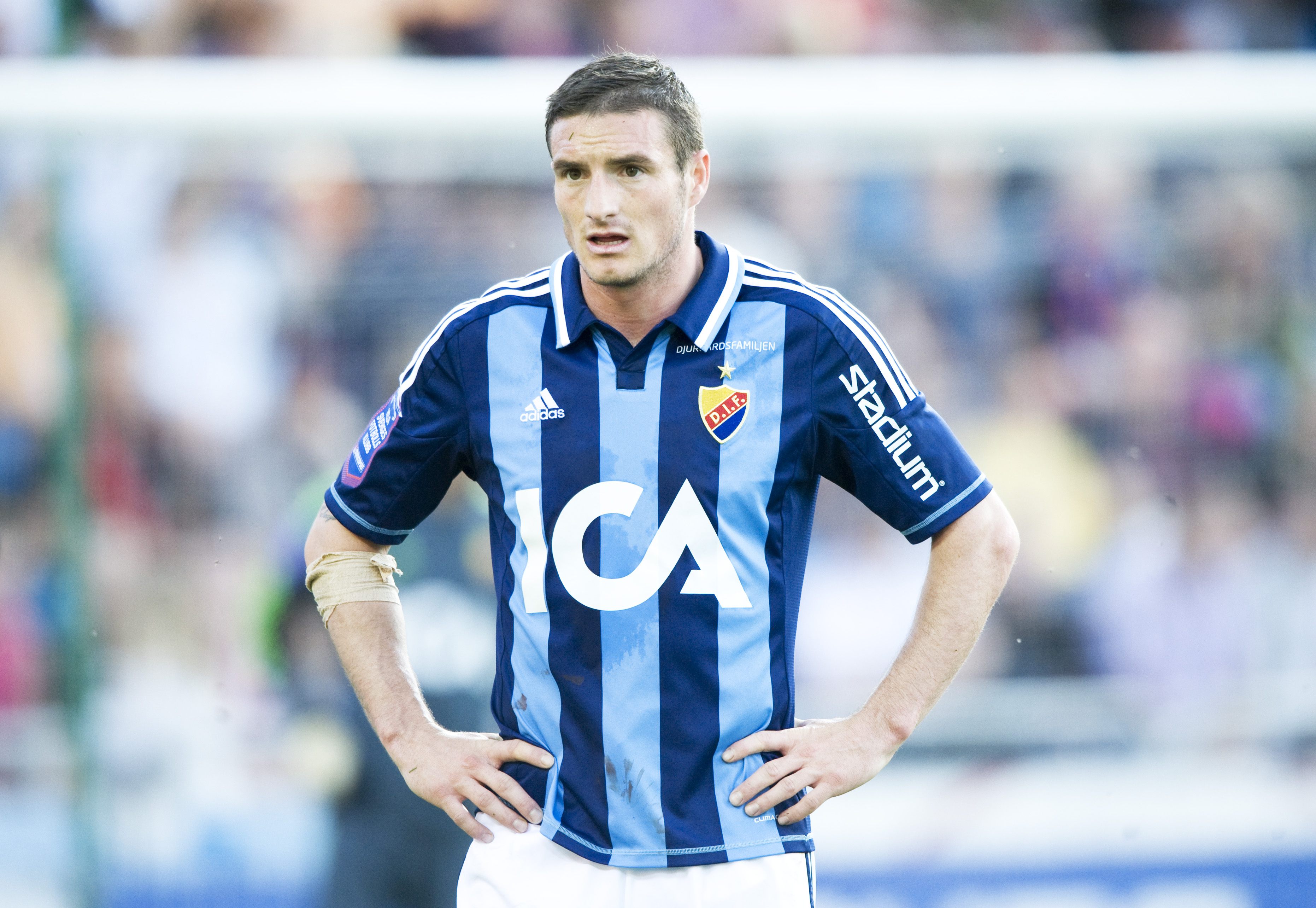 Allsvenskan, Djurgarden, Magnus Pehrsson, Nyförvärv